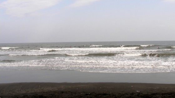 2010/11/07 13:08 志田下