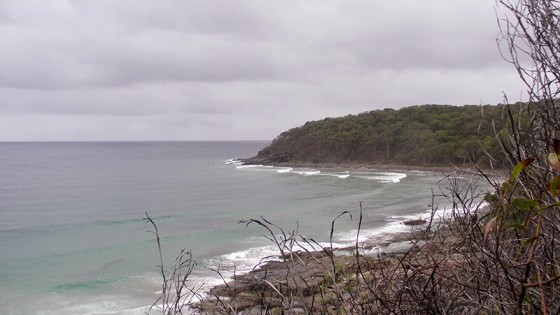 2014/02/09 Noosa Tea Tree