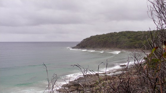 2014/02/09 Noosa Tea Tree