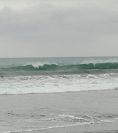 2025/4/3 7:41 静波海岸（シャワー前）