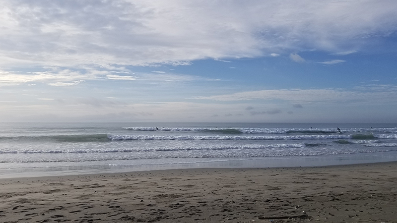 2025/8/13 6:51 片浜海岸