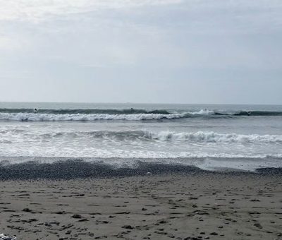 2026/4/19 8時頃からの静波