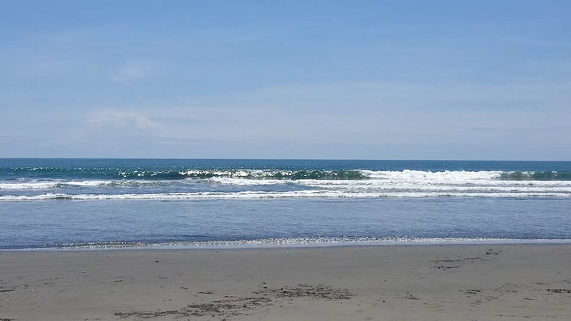 2026/5/13 静波海岸