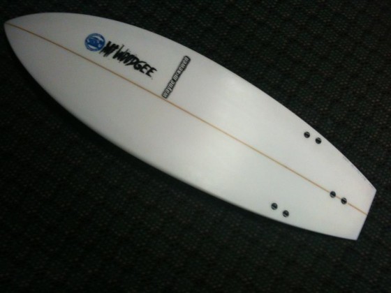 Mt Woodgee Surfboards Dumpster Chop Tail