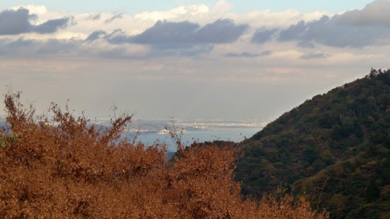 箱根からの眺め