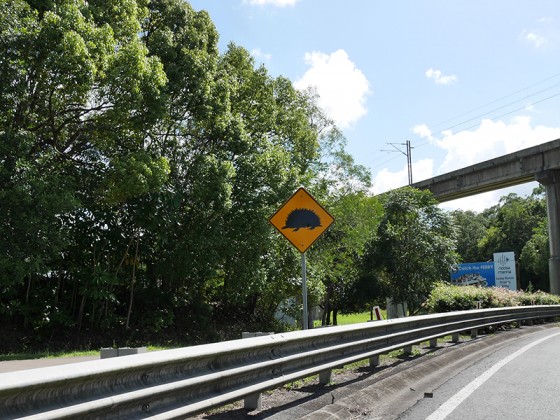 ハリモグラ注意の道路標識 オーストラリア QLD州