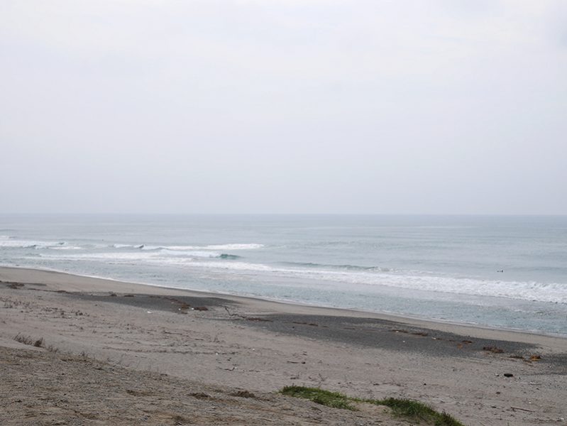 2016/09/17 10:17 浜岡砂丘